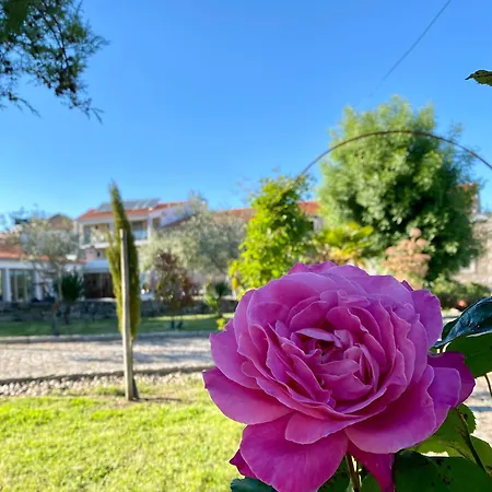 Casas Campo Cimo Da Quinta Affittacamere Miranda do Douro