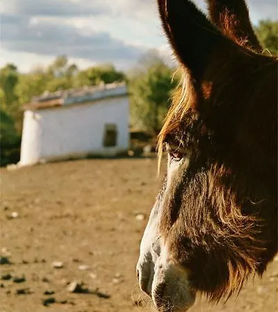 Penzion Casas Campo Cimo Da Quinta