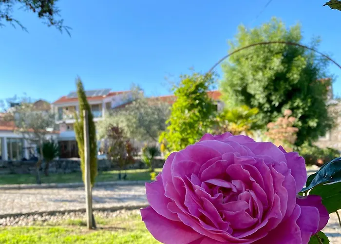 Casas Campo Cimo Da Quinta بيت ضيافة ميراندا دو دورو